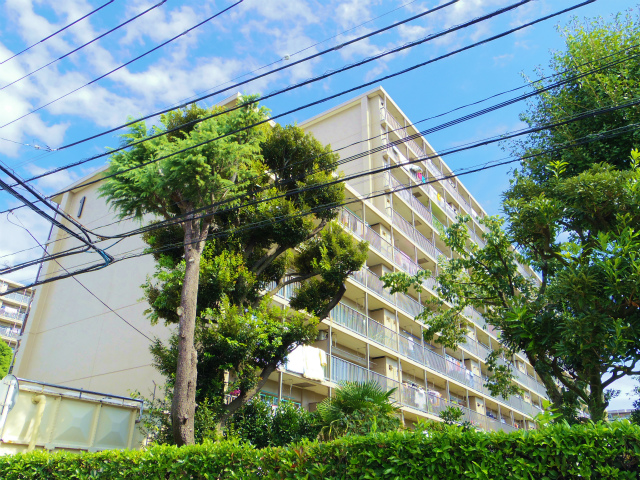 IMGP2001